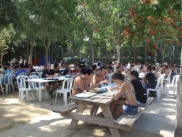 XVI Concentracion - 2009